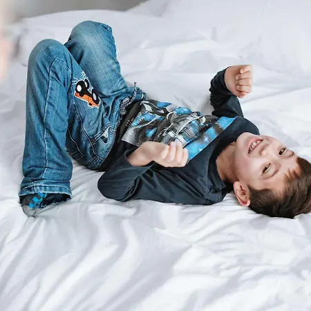 Ibis Budget Gasthof Alicante